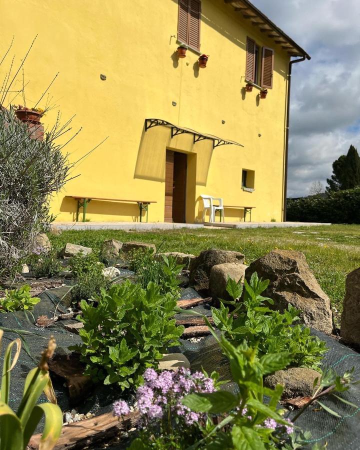 Casale La Valle Del Tevere Ponte Pattoli Εξωτερικό φωτογραφία